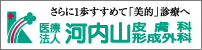 Ö@l ͓R畆Ȍ`O